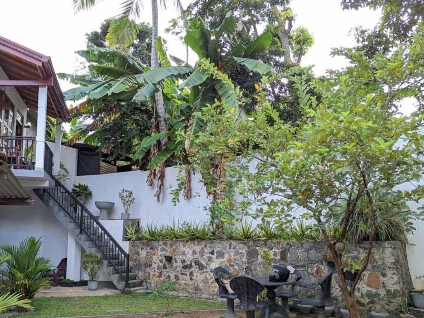 Villa Wismar هيكادوفا المظهر الخارجي الصورة